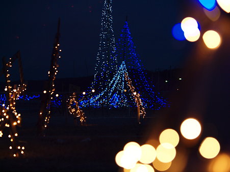 UZOU091226_675