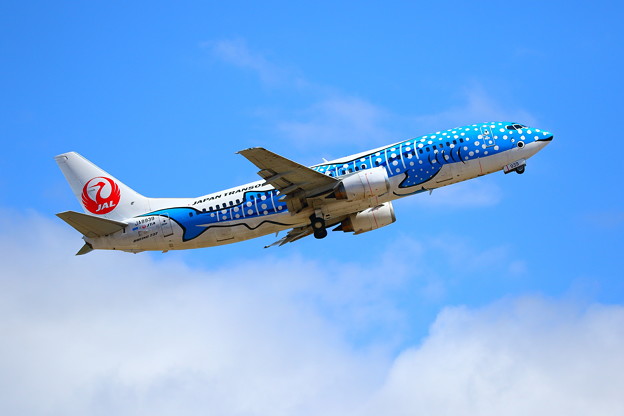 日本トランスオーシャン航空 Boeing 737-400 (JA8939)