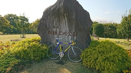 JPEG_20171117_134536_326817732.jpg
