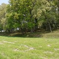P1070944 (800x534)
