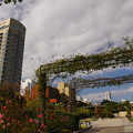 Photos: 山下公園