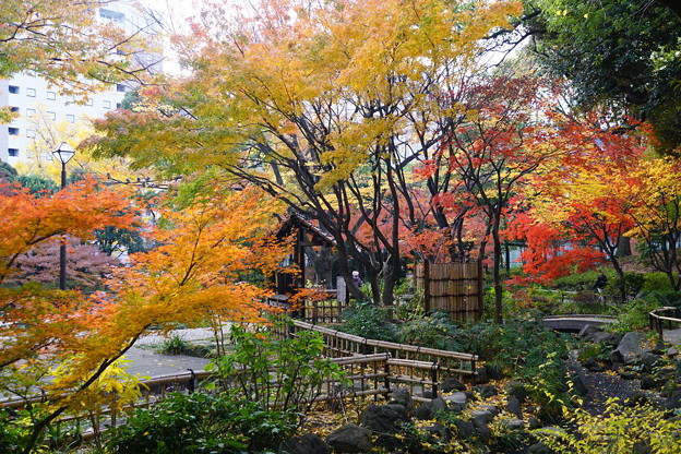 Photos: 横浜公園