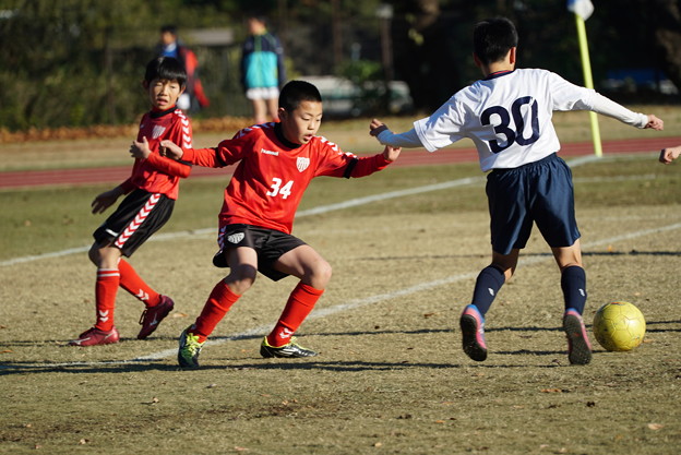 Photos: サッカー