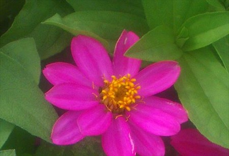 IMGP5505_0712