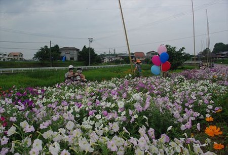 IMGP1011_0713