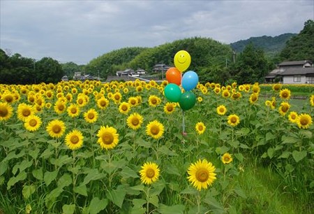 IMGP1573_0719