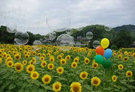 IMGP1644_0719