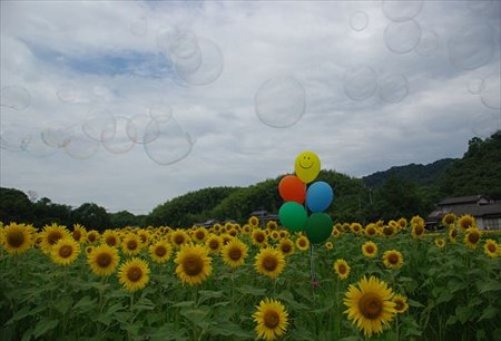 IMGP1707_0719