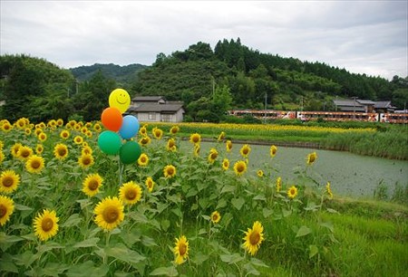 IMGP1724_0719