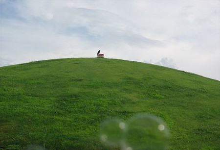 IMGP2622_0719