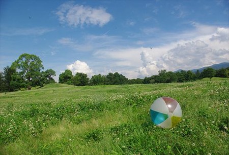 IMGP2429_0719