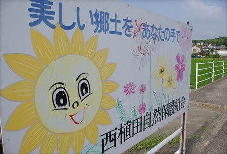 IMGP8914_0720