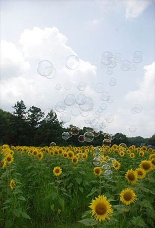 IMGP8977_0720