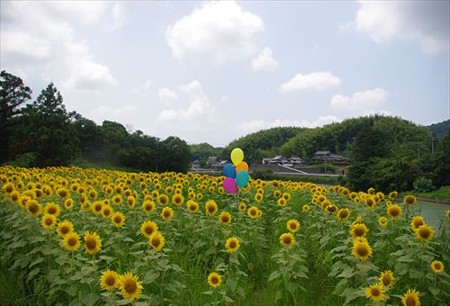 IMGP9105_0720