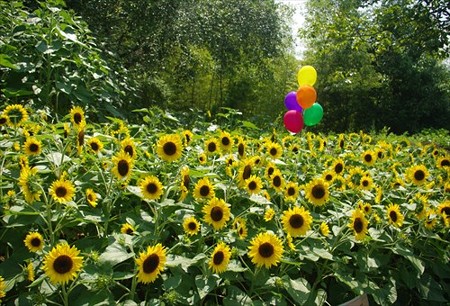 IMGP9201_0726