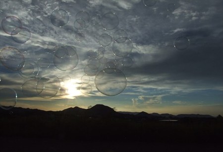 DSCF8193_0730
