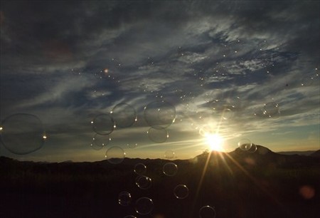 DSCF8284_0730