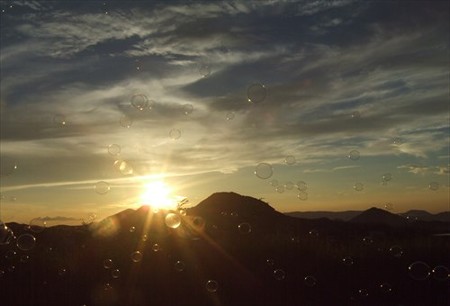 DSCF8309_0730