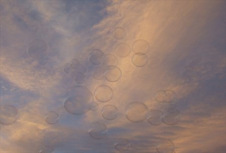 DSCF8480_0730