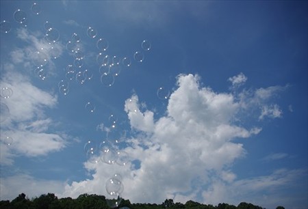IMGP3008_0815