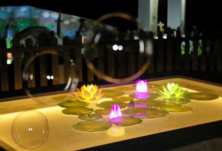 IMGP5369_0815
