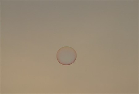 DSCF8924_0817