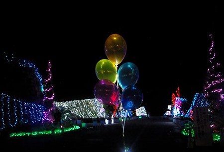IMGP5566_0817
