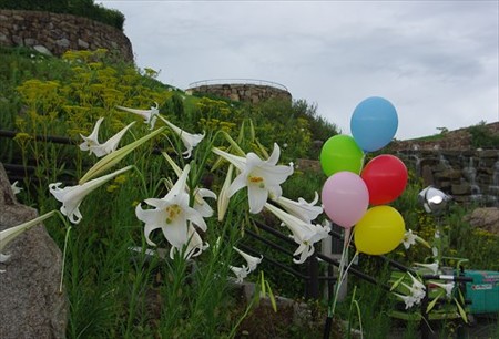 IMGP4068_0818