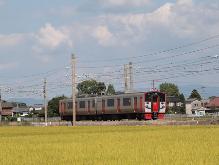 815系普通 鹿児島本線瀬高~南瀬高
