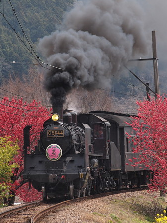 C56 SLかわね路 抜里~川根温泉笹間渡05