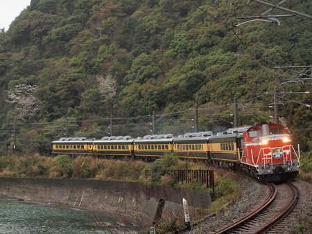 DD51 サロンカーなにわ 紀勢本線紀伊浦上~下里03