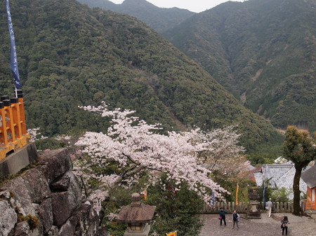 那智熊野大社 10