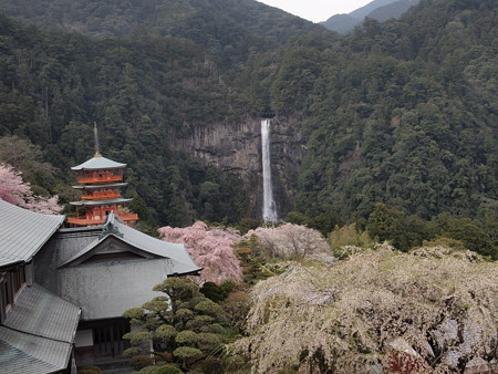 那智熊野大社 17