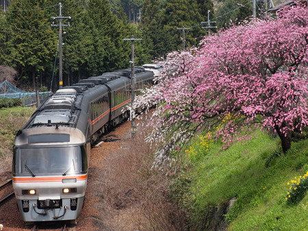 キハ85系ワイドビューひだ 高山本線下油井駅01