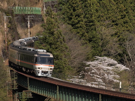 キハ85系ワイドビューひだ 高山本線下呂~焼石13