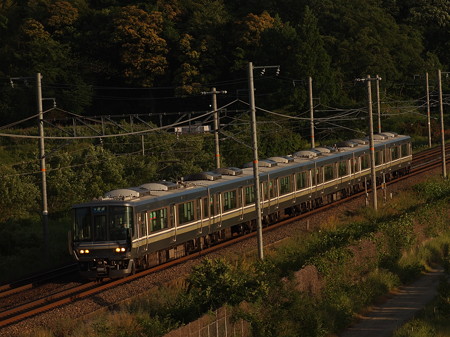 223系普通 東海道本線彦根~米原06