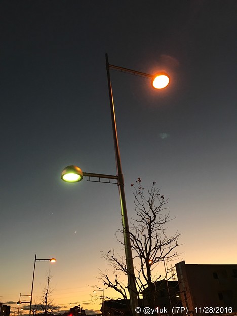 Sunset &amp; Street lamp ～一番星へ向かって