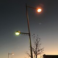 Photos: Sunset & Street lamp ～一番星へ向かって