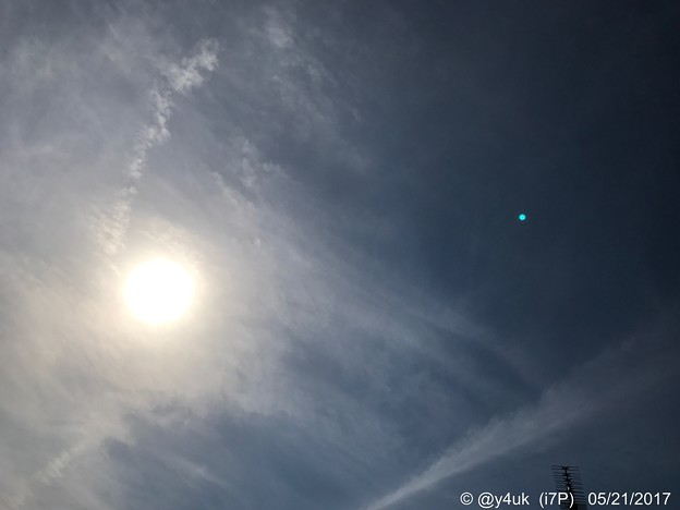 Photos: 5.21 34℃ ～フラフラ＆太陽＆光化学スモッグ
