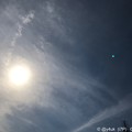 Photos: 5.21 34℃ ～フラフラ＆太陽＆光化学スモッグ