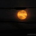 Photos: 6.9_19:19 strawberry moon ～恋が叶う月(Rock ver)