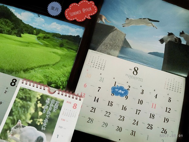 8月は夢花火わたしの心は雨模様 ～葉月Start