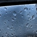 Photos: Hard Rain Drop ～8.1大雨Go～雨粒の数だけ