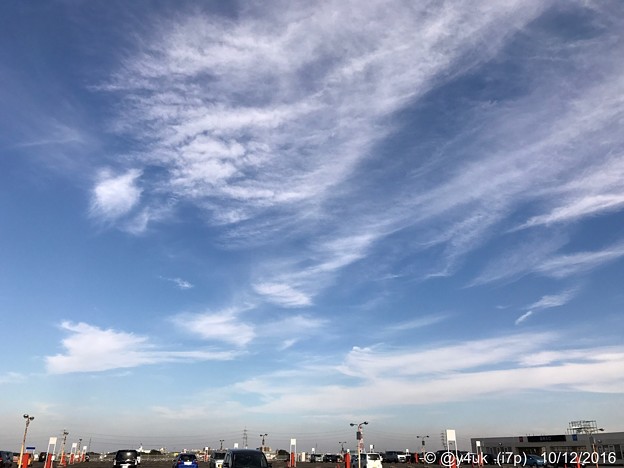 去年の今日 ～同じ青空～高い空を飛んだ～autumn blue sky