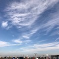 去年の今日 ～同じ青空～高い空を飛んだ～autumn blue sky