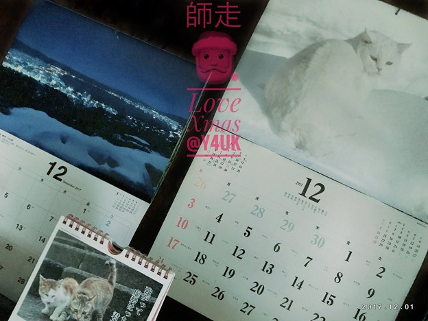 Love Xmas Start☆師走12月☆岩合光昭さん雪にゃんこ白猫～養命酒の信州湖夜景～2017 calendar Last shot!