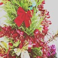 上品なXmas Tree ～他とは違い高そうであんまし