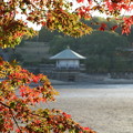 紅葉の秋