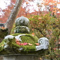 年月