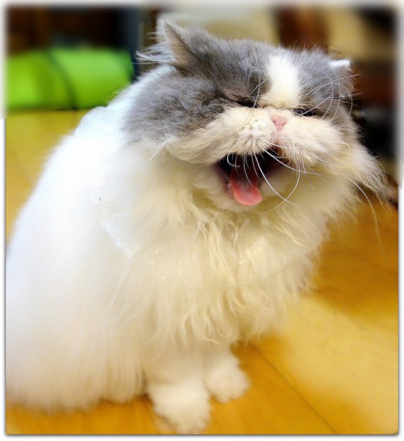 顎が外れちゃうわよ~